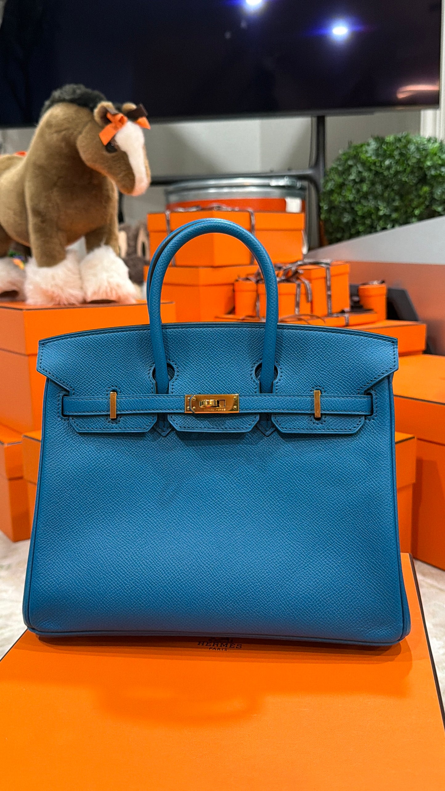 HERMES- BIRKIN 25 IZMIR EPSOM GOLD HARDWARE
