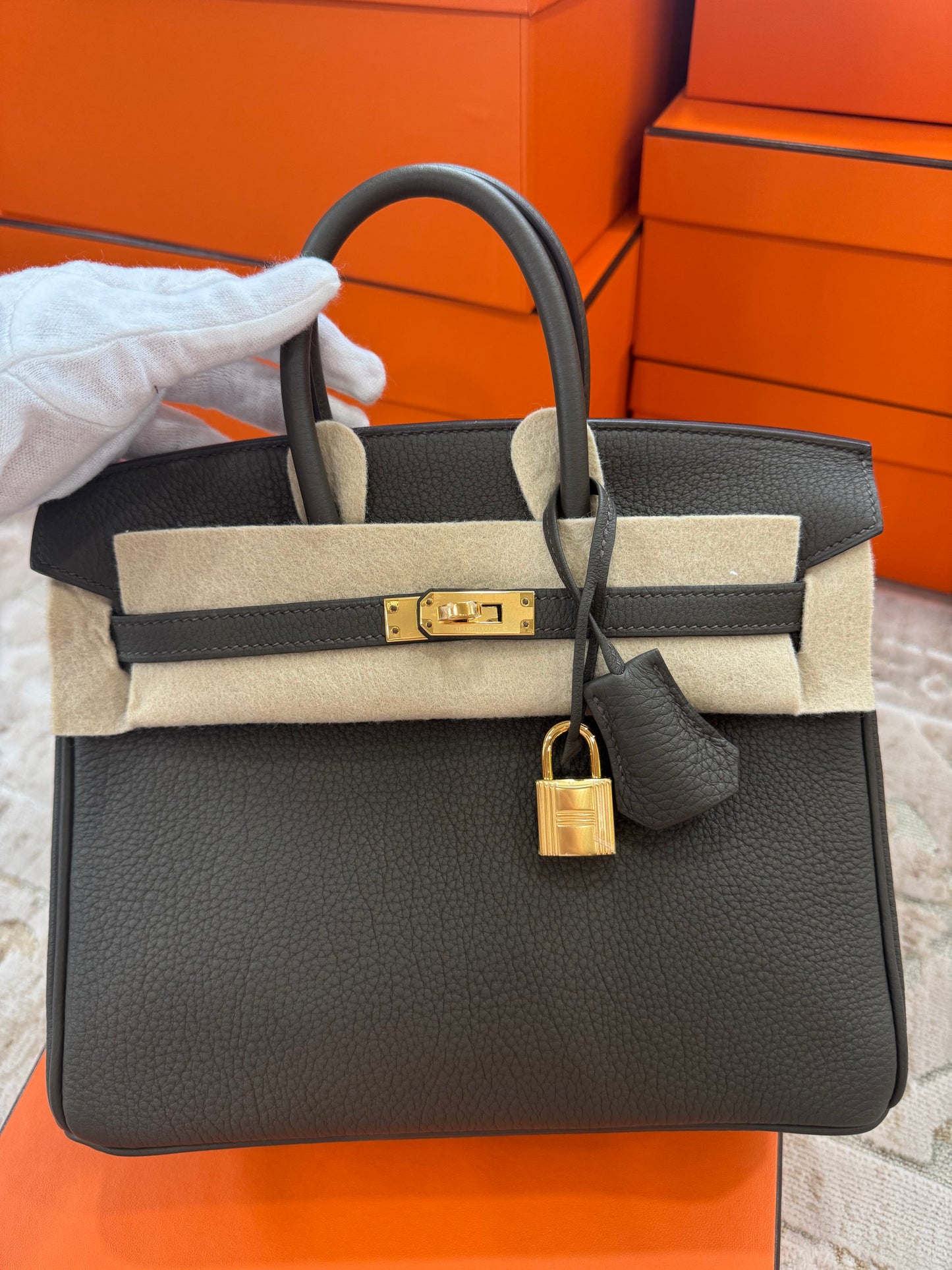 Hermes Birkin 25 Eucalyptus Togo With Gold Hardware