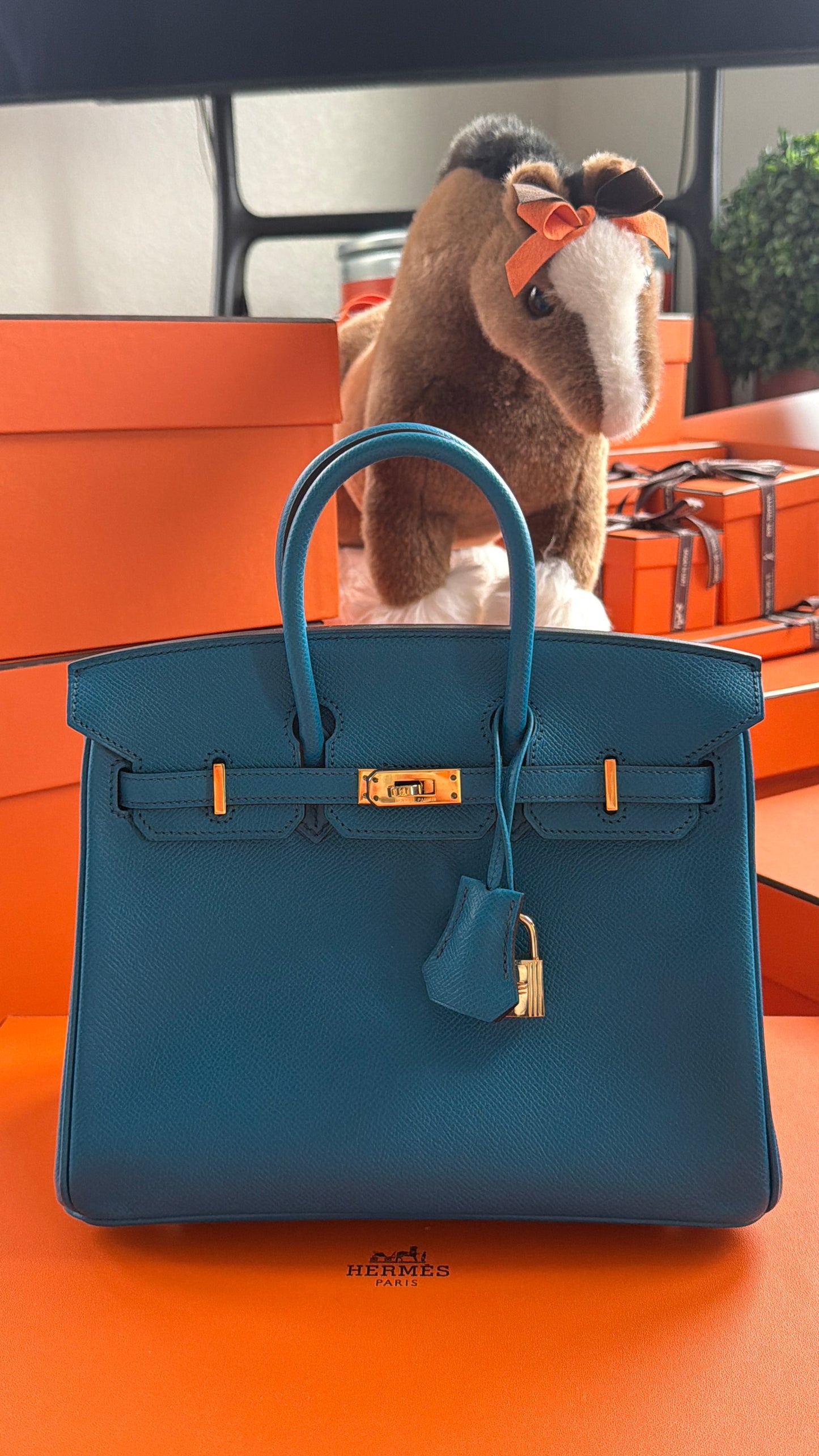 HERMES- BIRKIN 25 IZMIR EPSOM GOLD HARDWARE