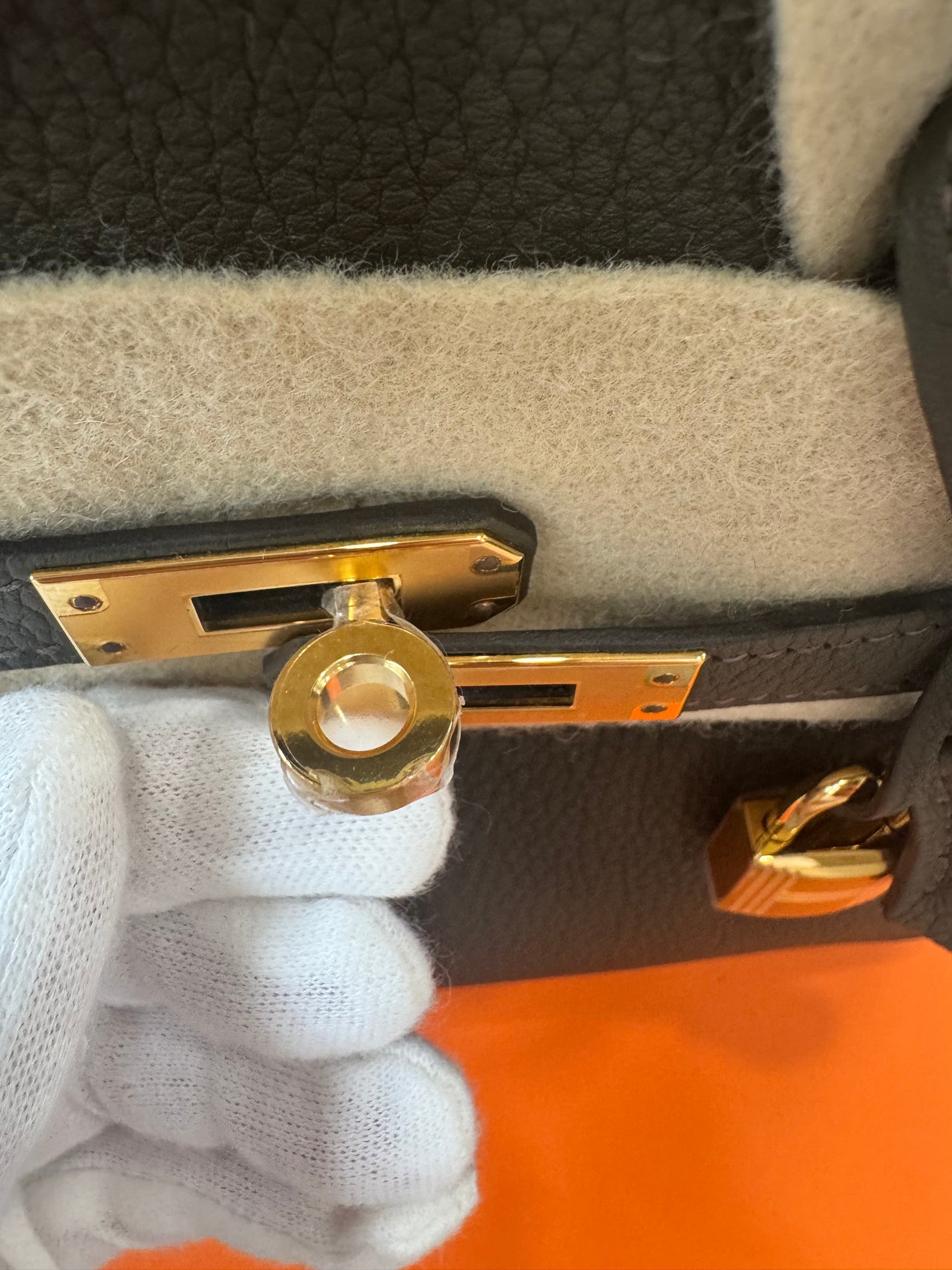 Hermes Birkin 25 Eucalyptus Togo With Gold Hardware