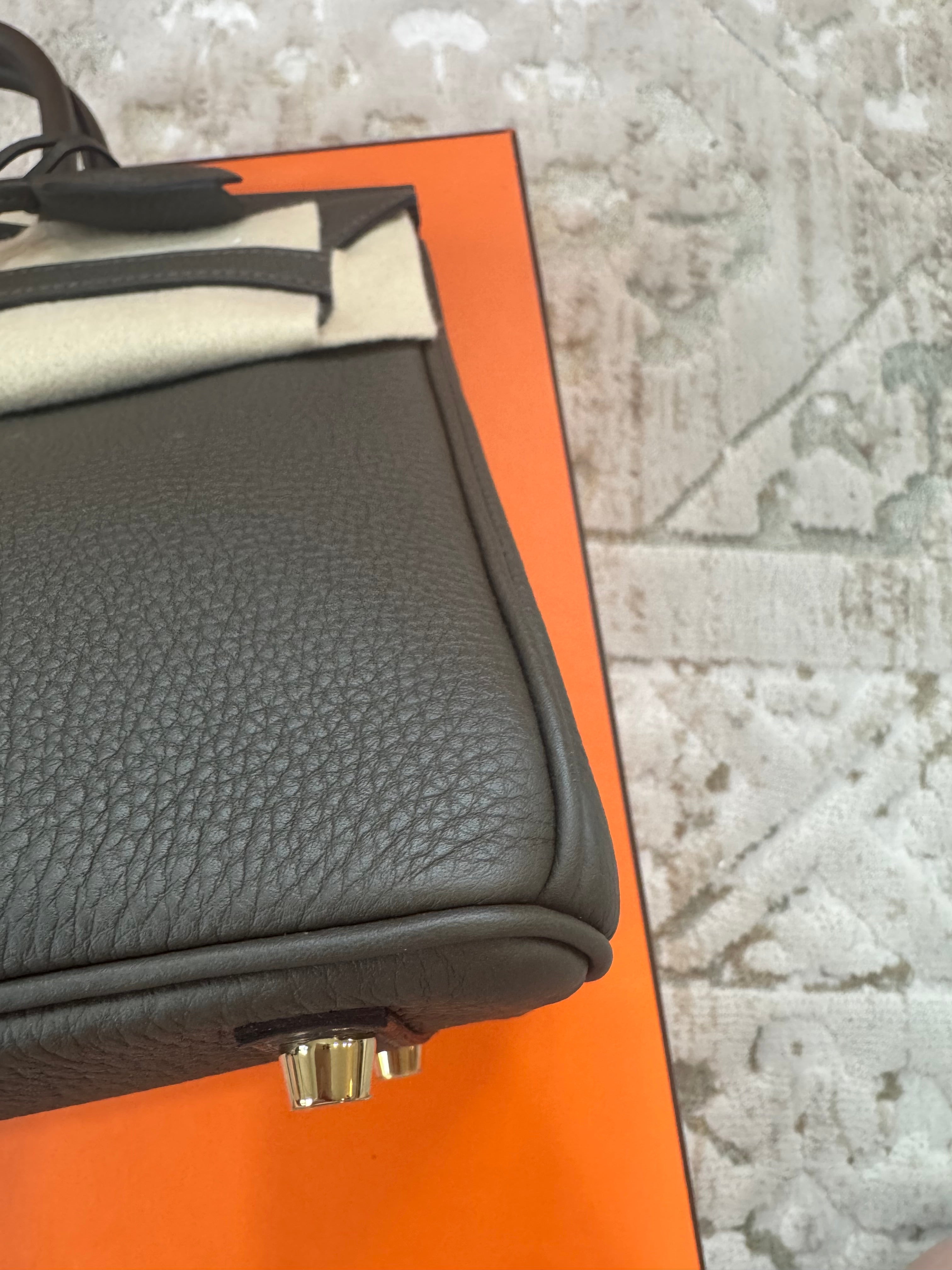 Hermes Birkin 25 Eucalyptus Togo With Gold Hardware