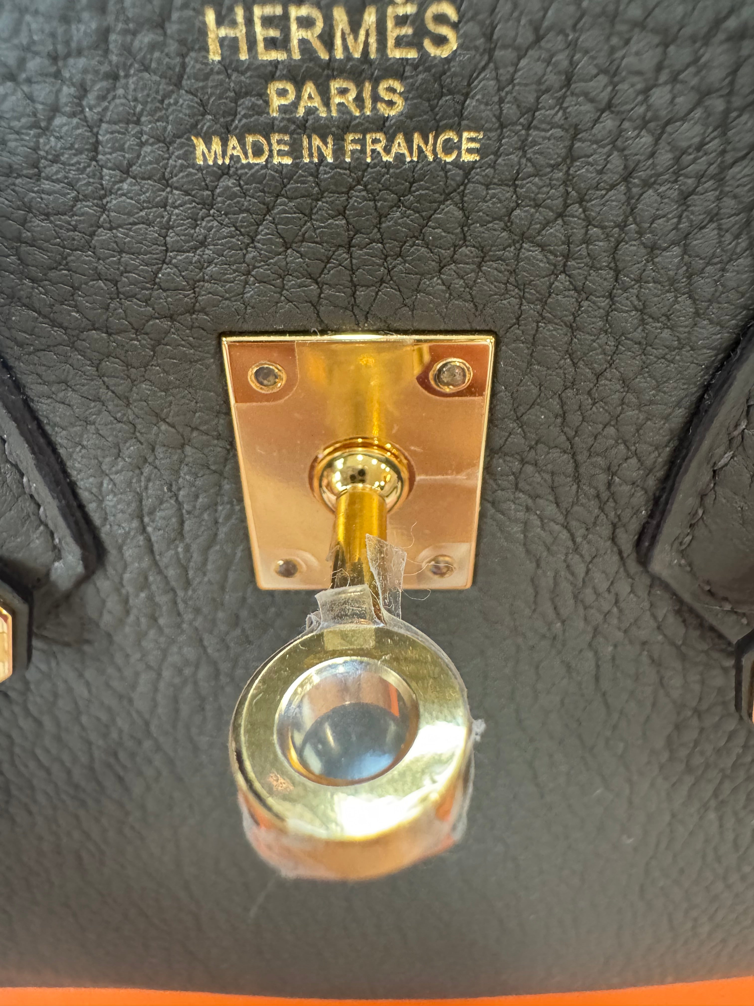 Hermes Birkin 25 Eucalyptus Togo With Gold Hardware