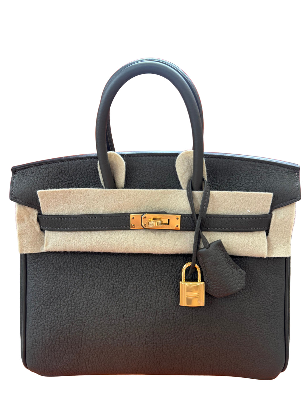 Hermes Birkin 25 Eucalyptus Togo With Gold Hardware