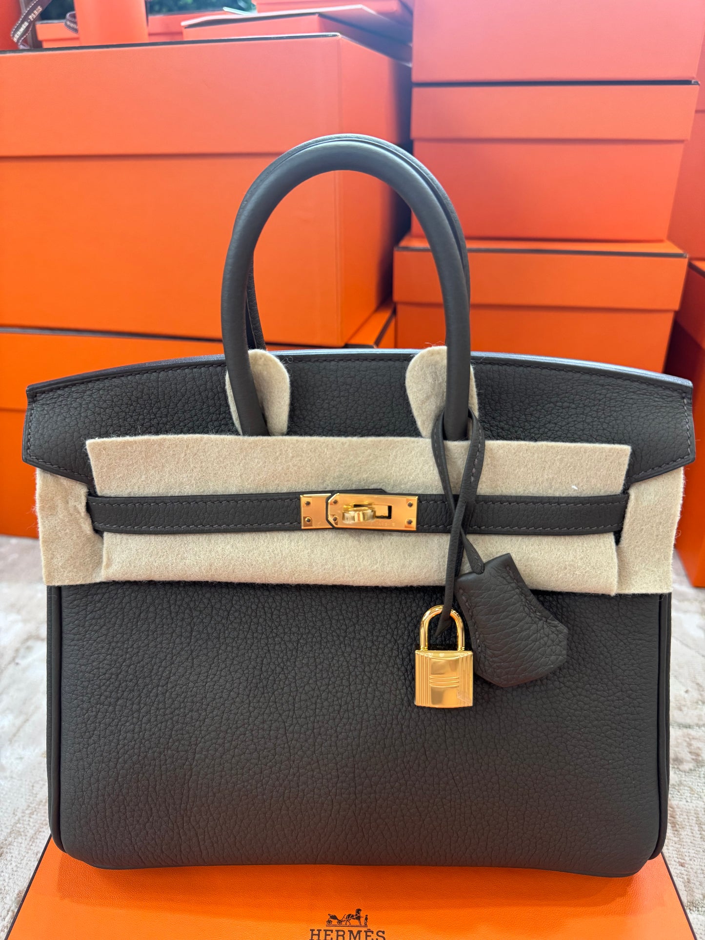 Hermes Birkin 25 Eucalyptus Togo With Gold Hardware