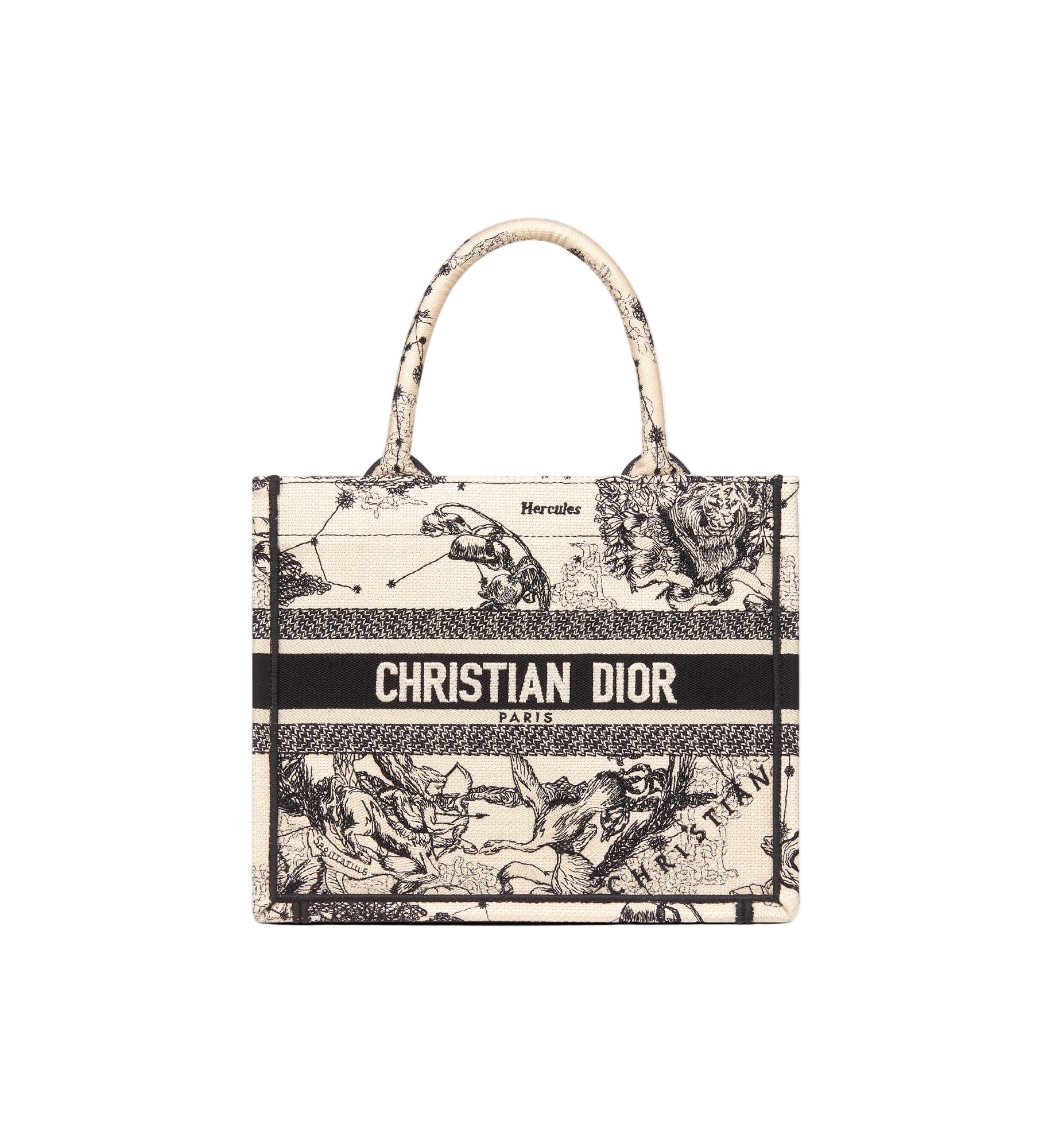 Dior Book Tote Small Embroidery Canvas Tote Bag Zodiac Black