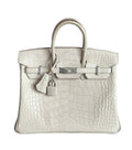 Hermes Birkin 25 Beton Matte Alligator Palladium Hardware