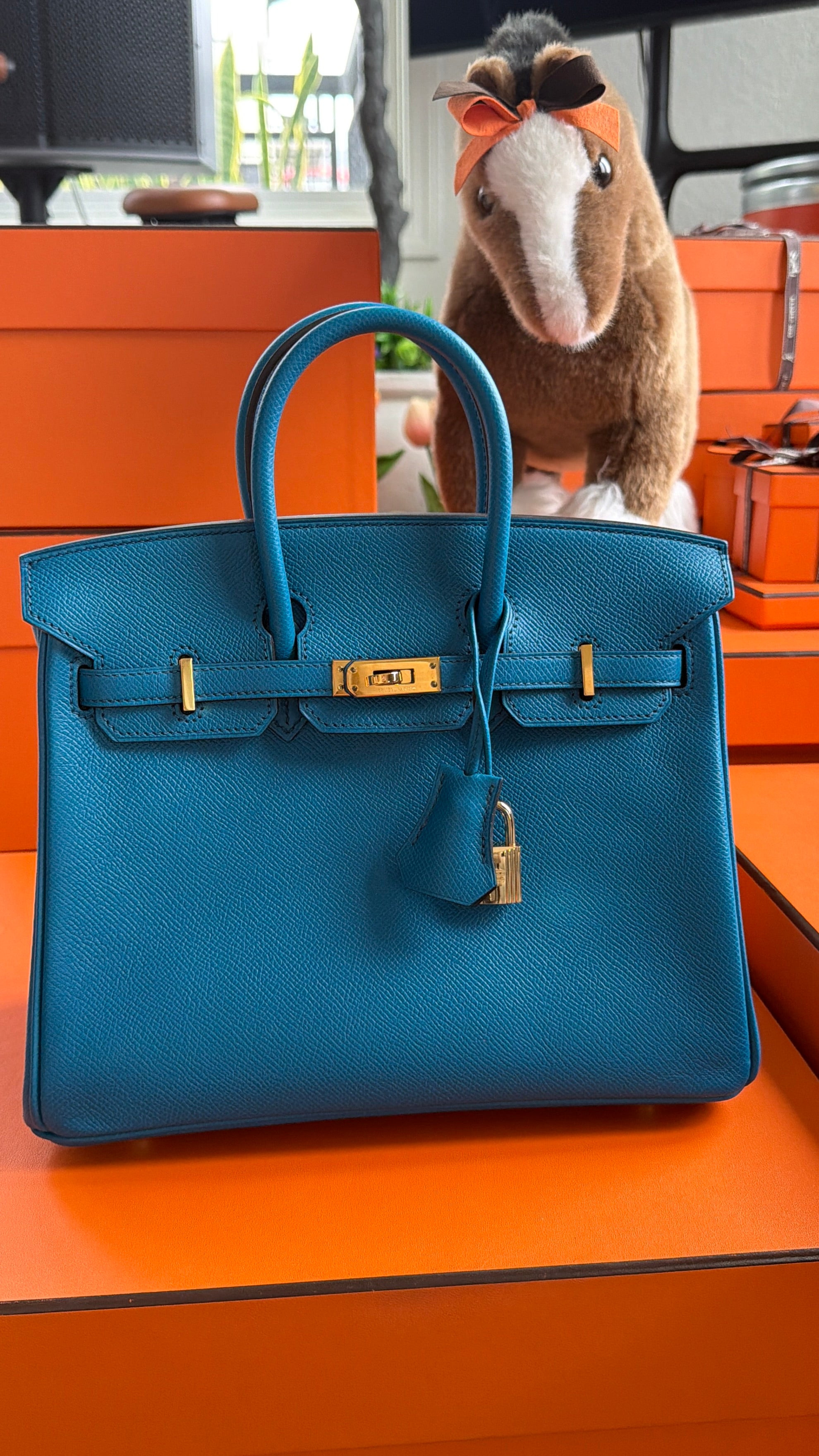 Birkin 25 Izmir Epsom Gold Hardware