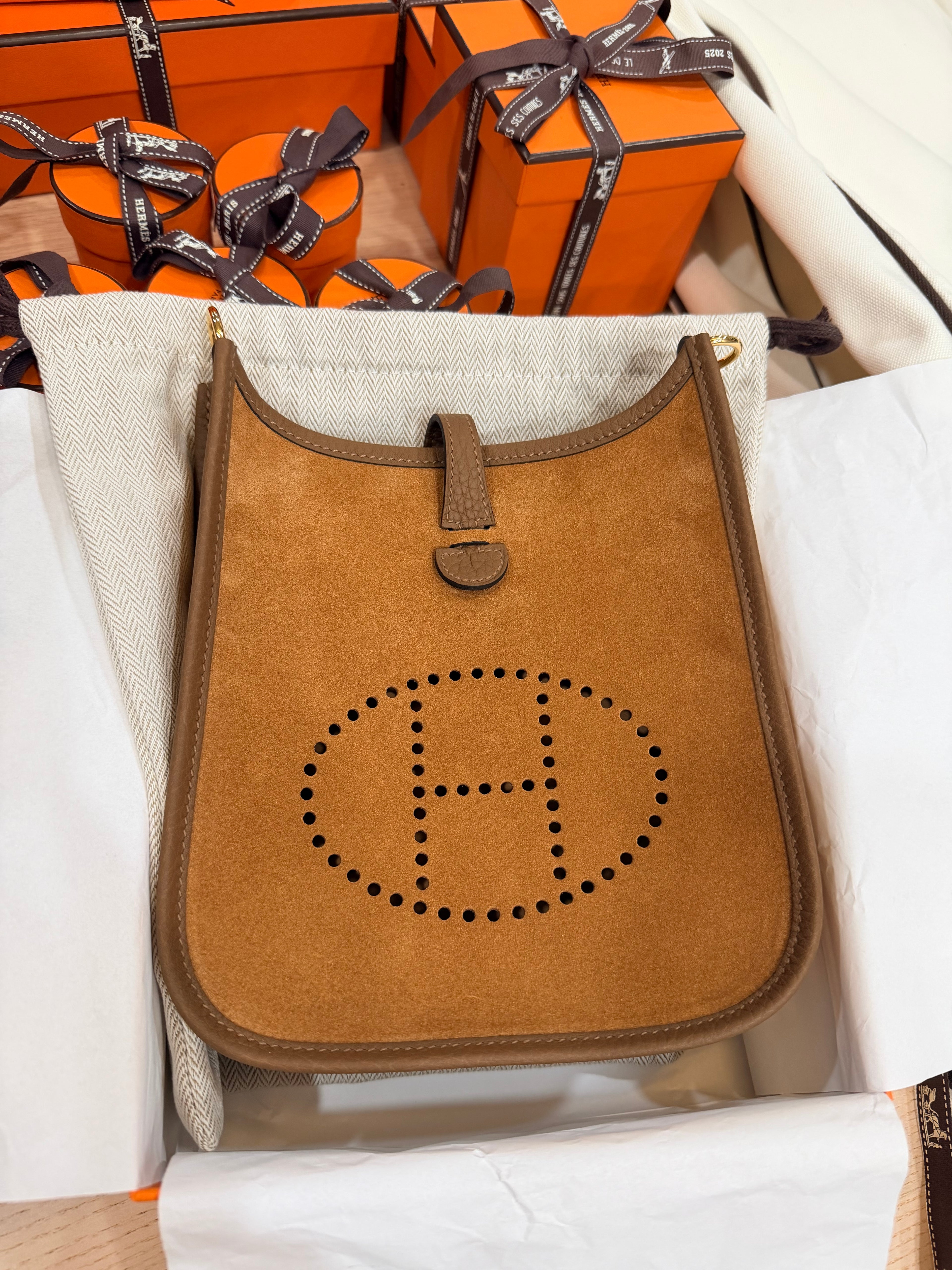 RARE Evelyne 16 Clémence / Veau Grizzly / Wooly Gold / Alezan / Chamois