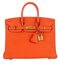 Hermes Birkin 25 Feu Togo Gold Hardware