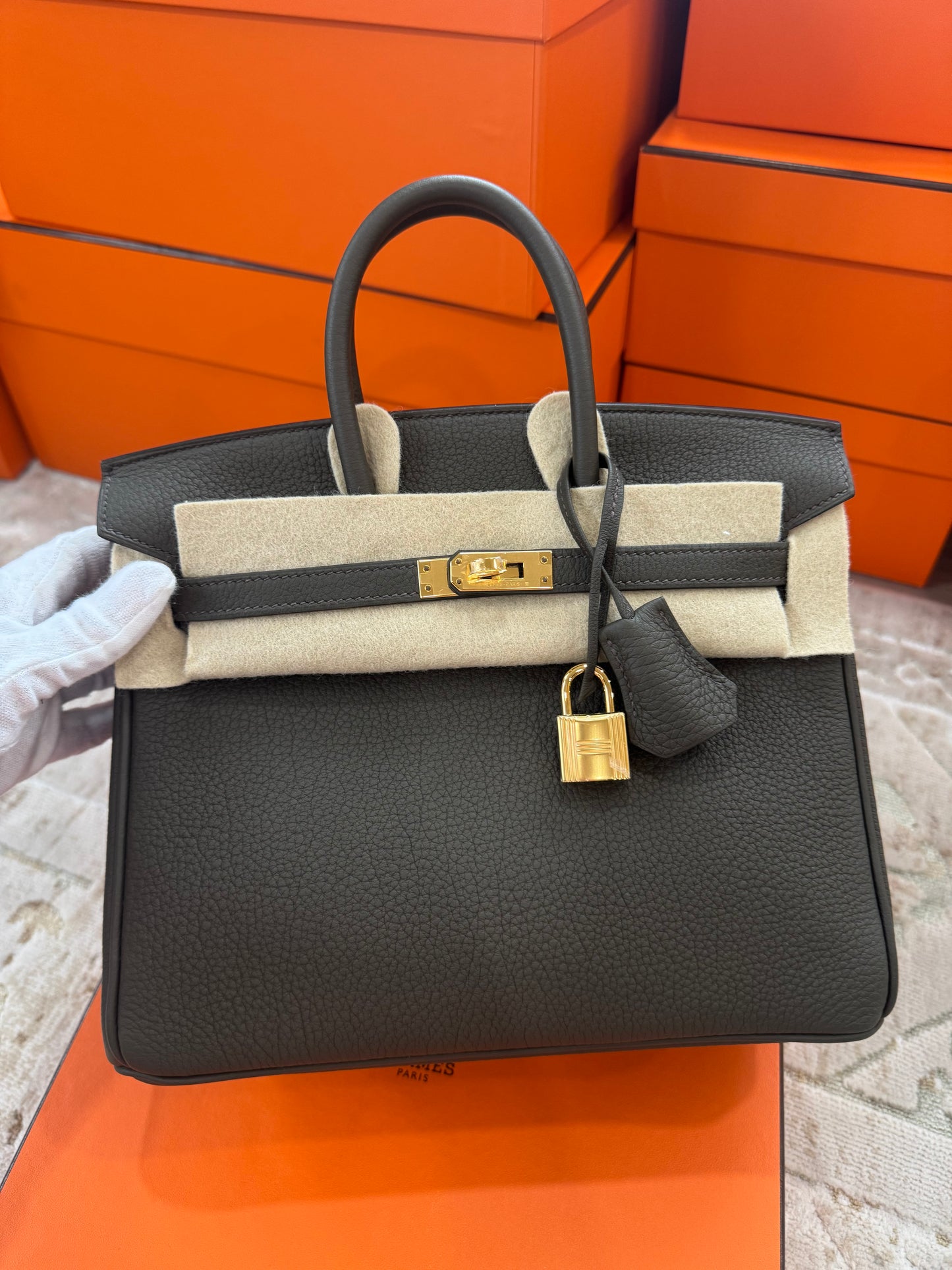 Hermes Birkin 25 Eucalyptus Togo With Gold Hardware