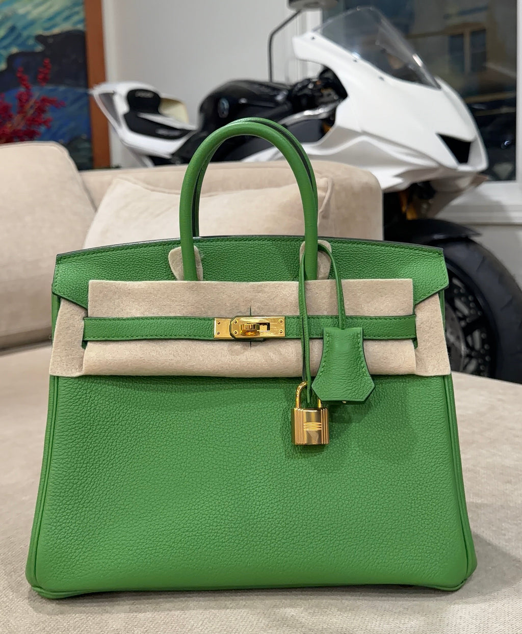 Birkin 25 Vert Yucca Togo Gold Hardware